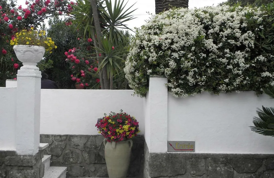 Villa Ingrid-1